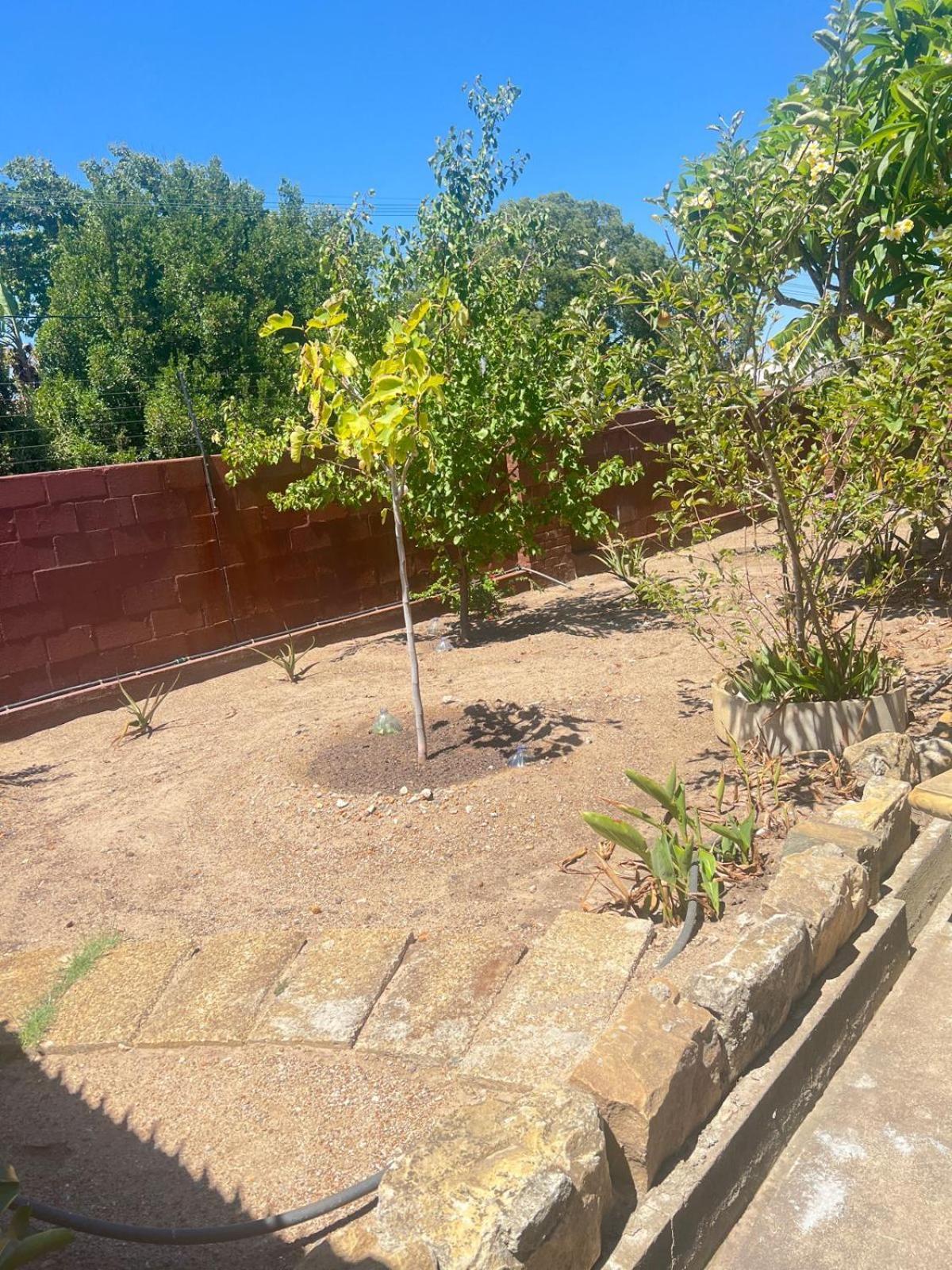 קייפטאון Triple S Guest House מראה חיצוני תמונה